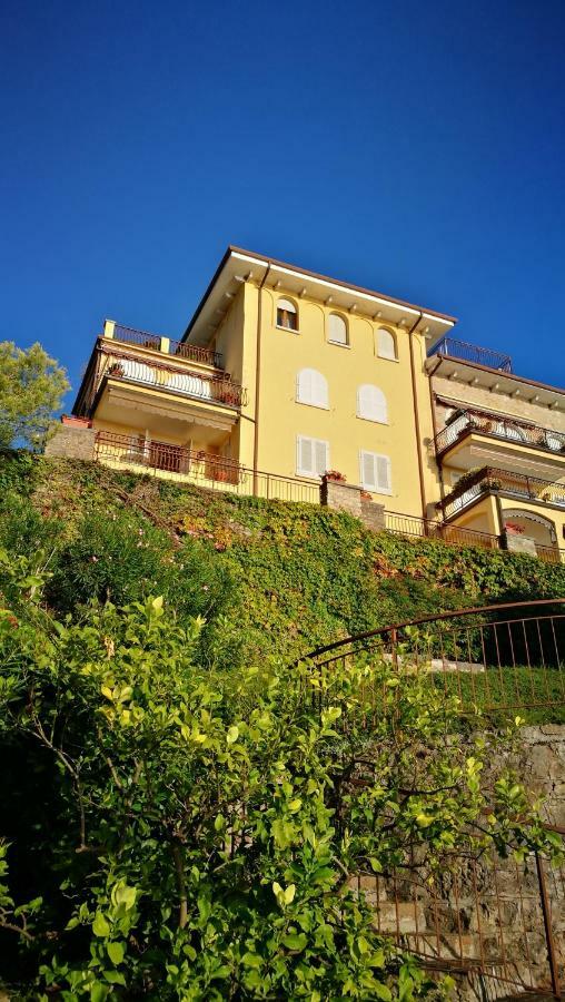 Bellavista Eremitaggio Apartment Torri Del Benaco Ngoại thất bức ảnh